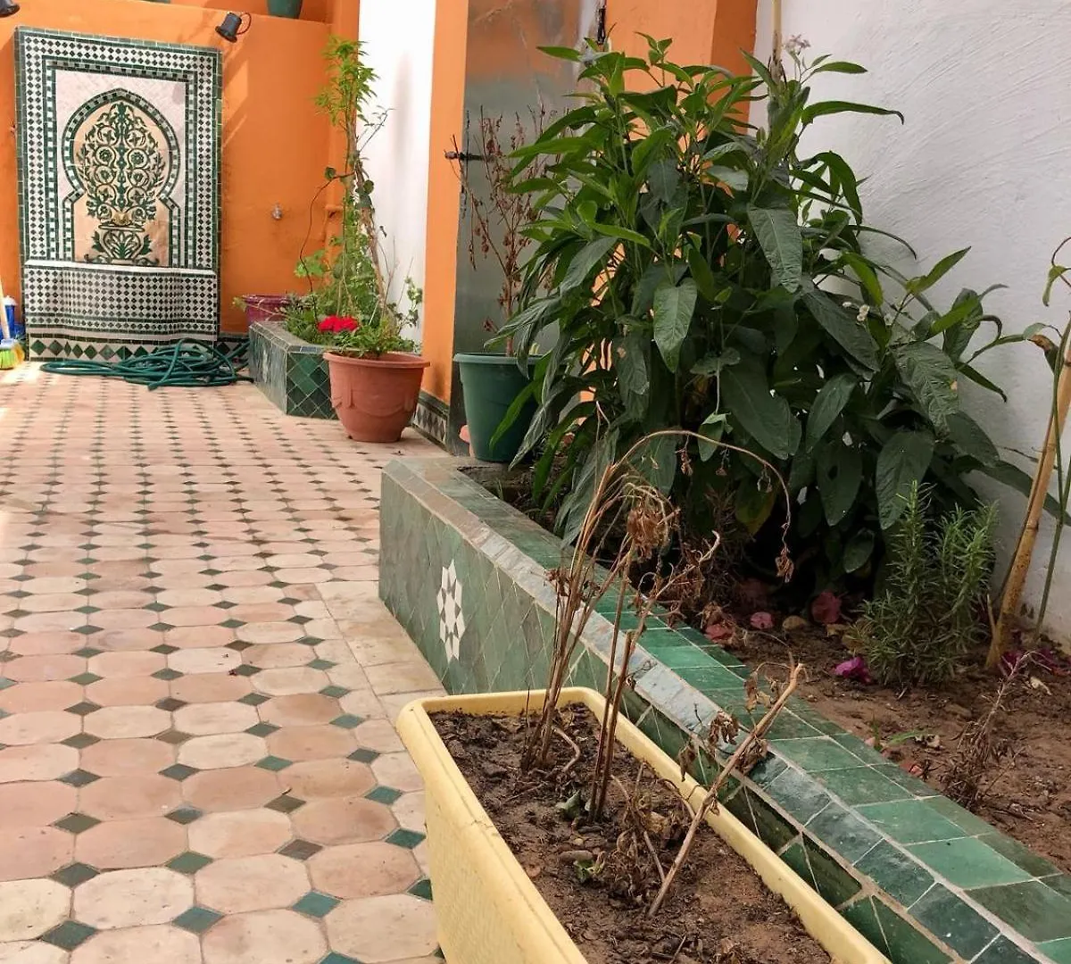 Apartamento Apt Traditionnel Et Tres Bien Situe - Wifi & Parking Agadir